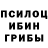 Галлюциногенные грибы Cubensis KatyAva