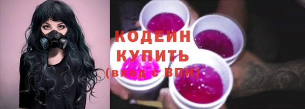 СК Горняк