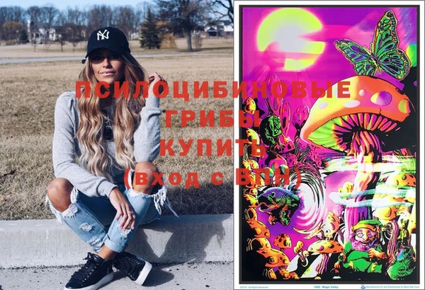 СК Горняк