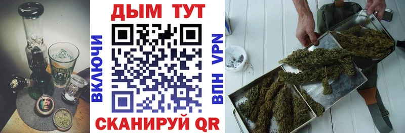 Купить где  Киселёвск  Бошки Шишки ГИДРОПОН 